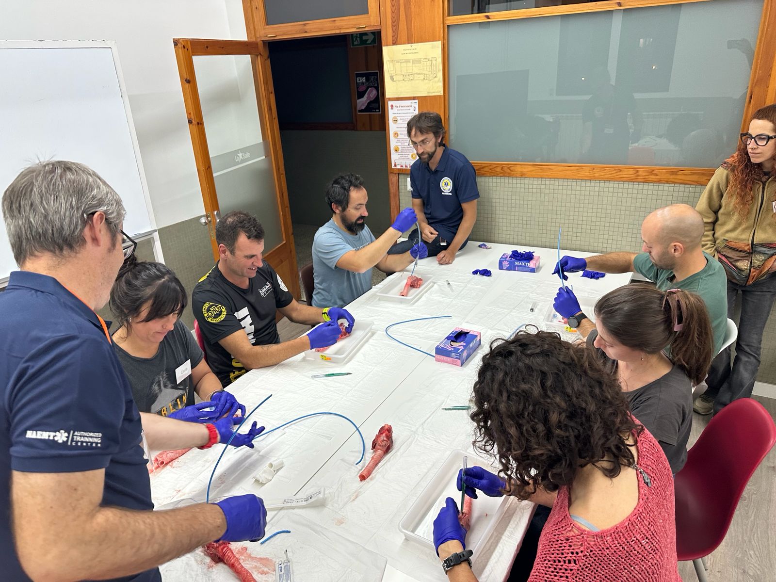 Formación práctica del curso PHTLS